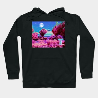 Botanic Aesthetic Hoodie